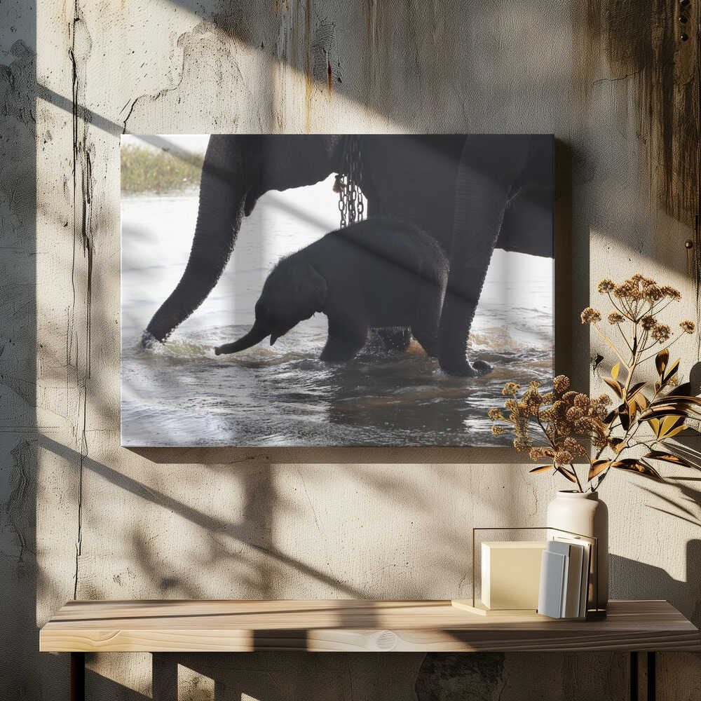 Elephant Dawn Playtime