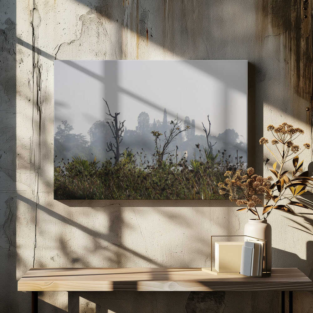 Misty Forest Silhouettes