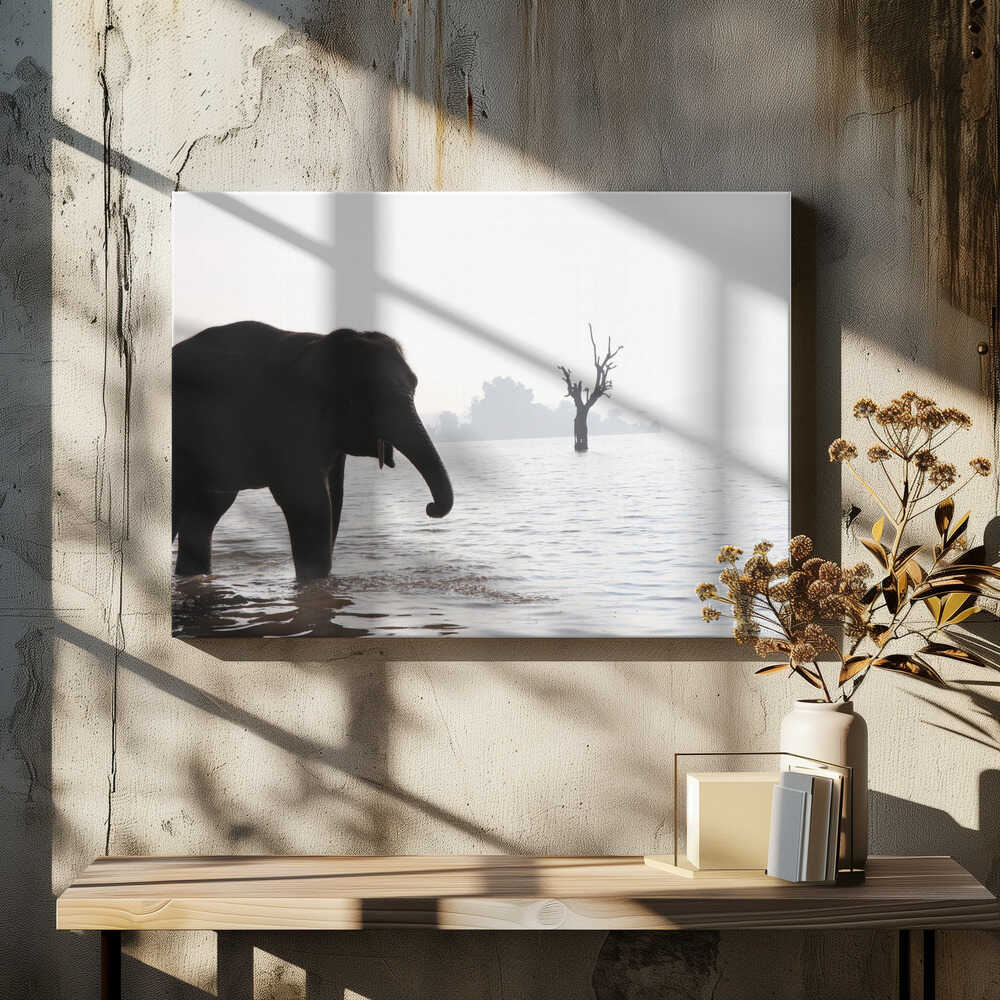 Elephant's Tranquil Stroll