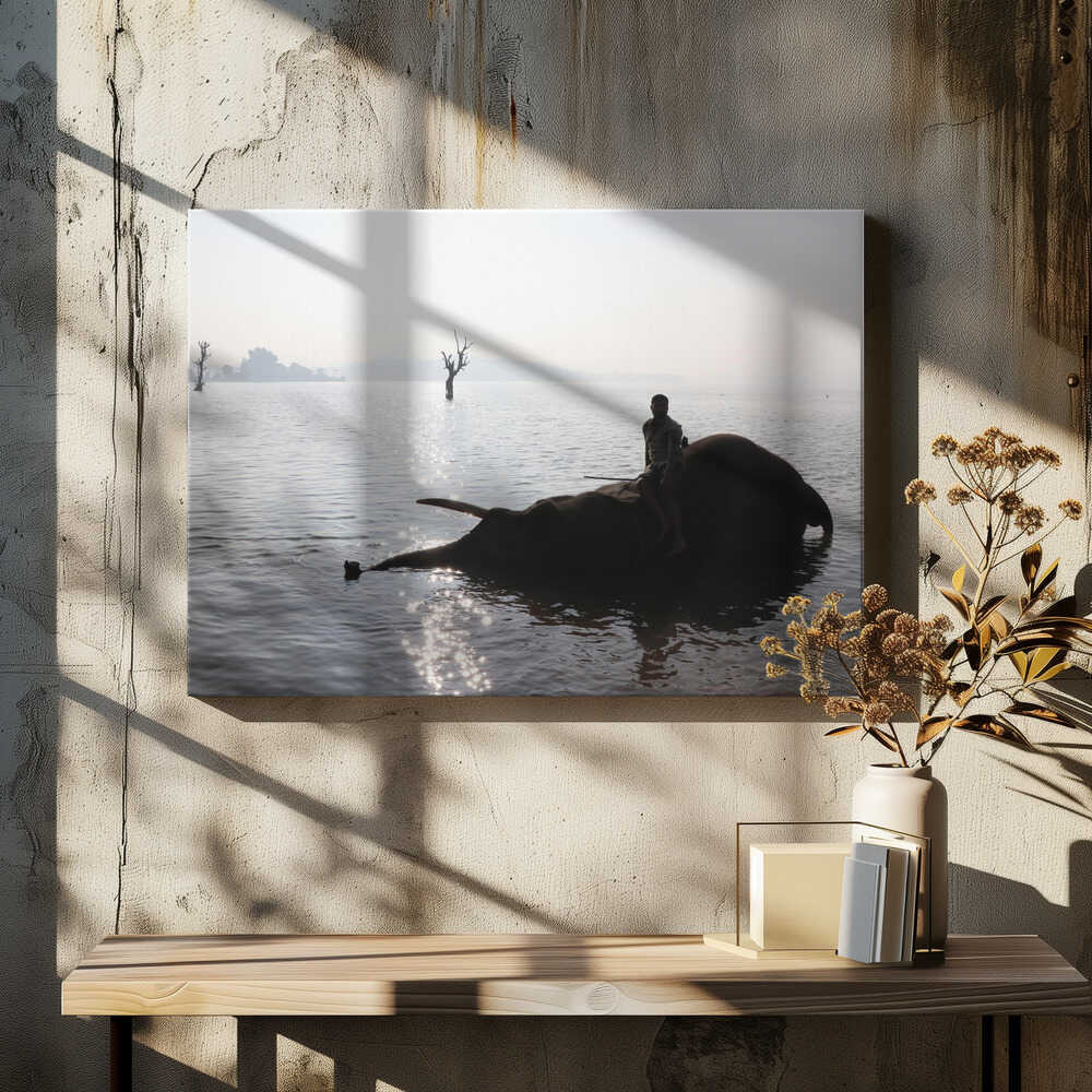 Elephant's Tranquility