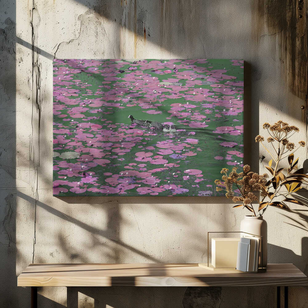 Lily Dance Waterscape