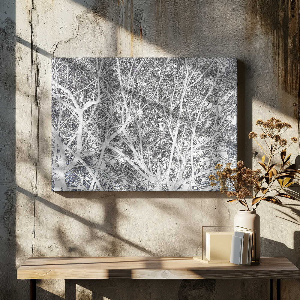 Winter's Bare Canopy