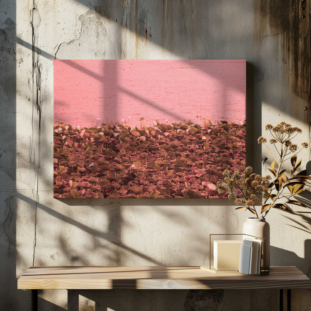 Pink Lotus Shoreline