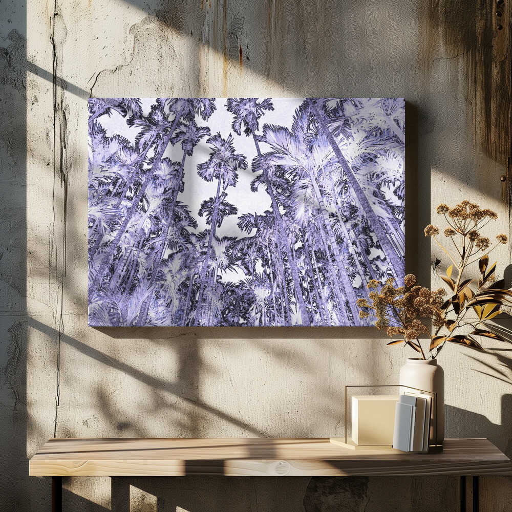 Violet Palm Canopy