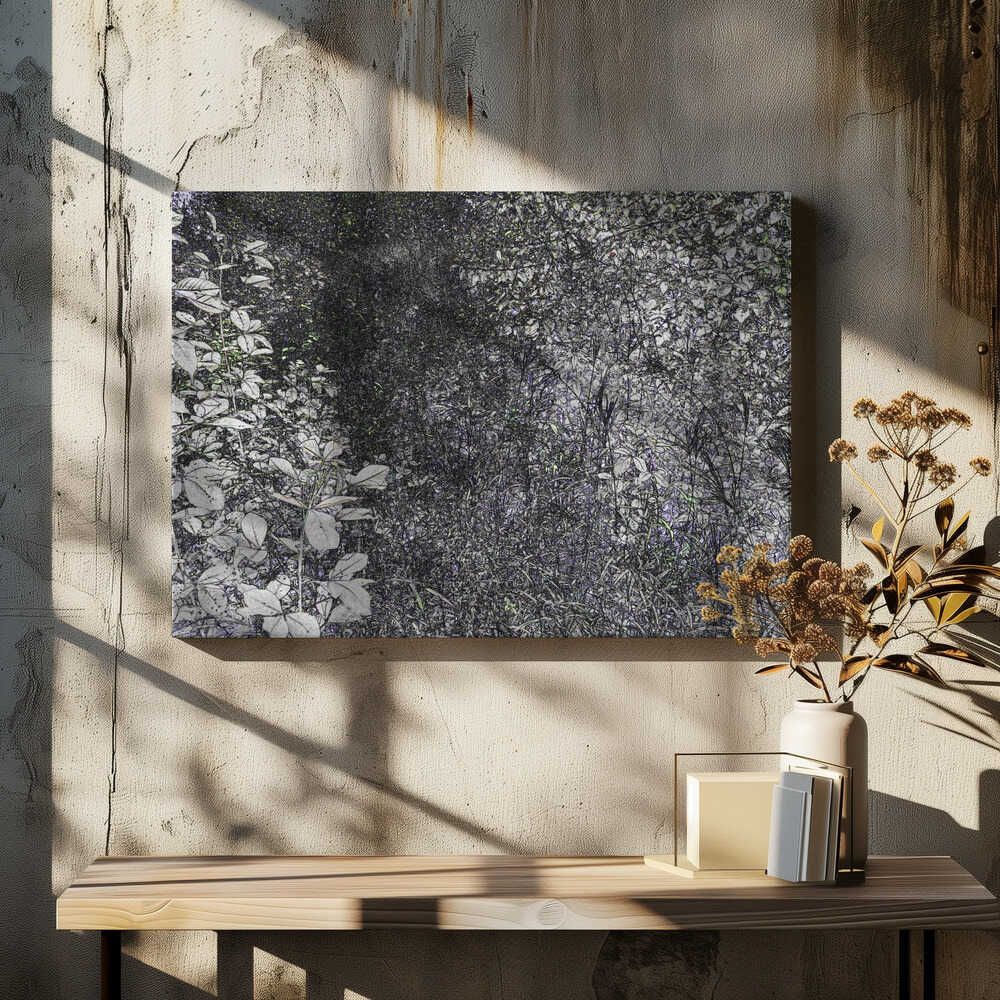 Monochrome Wilderness