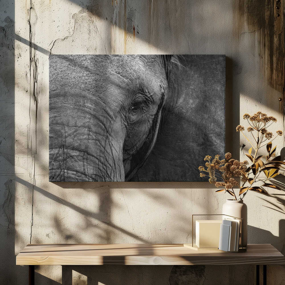 Close-up of elephant