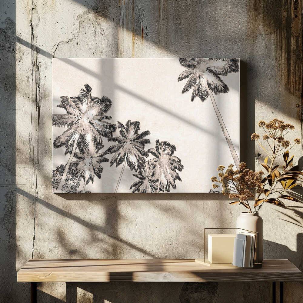 Tropical Silhouettes