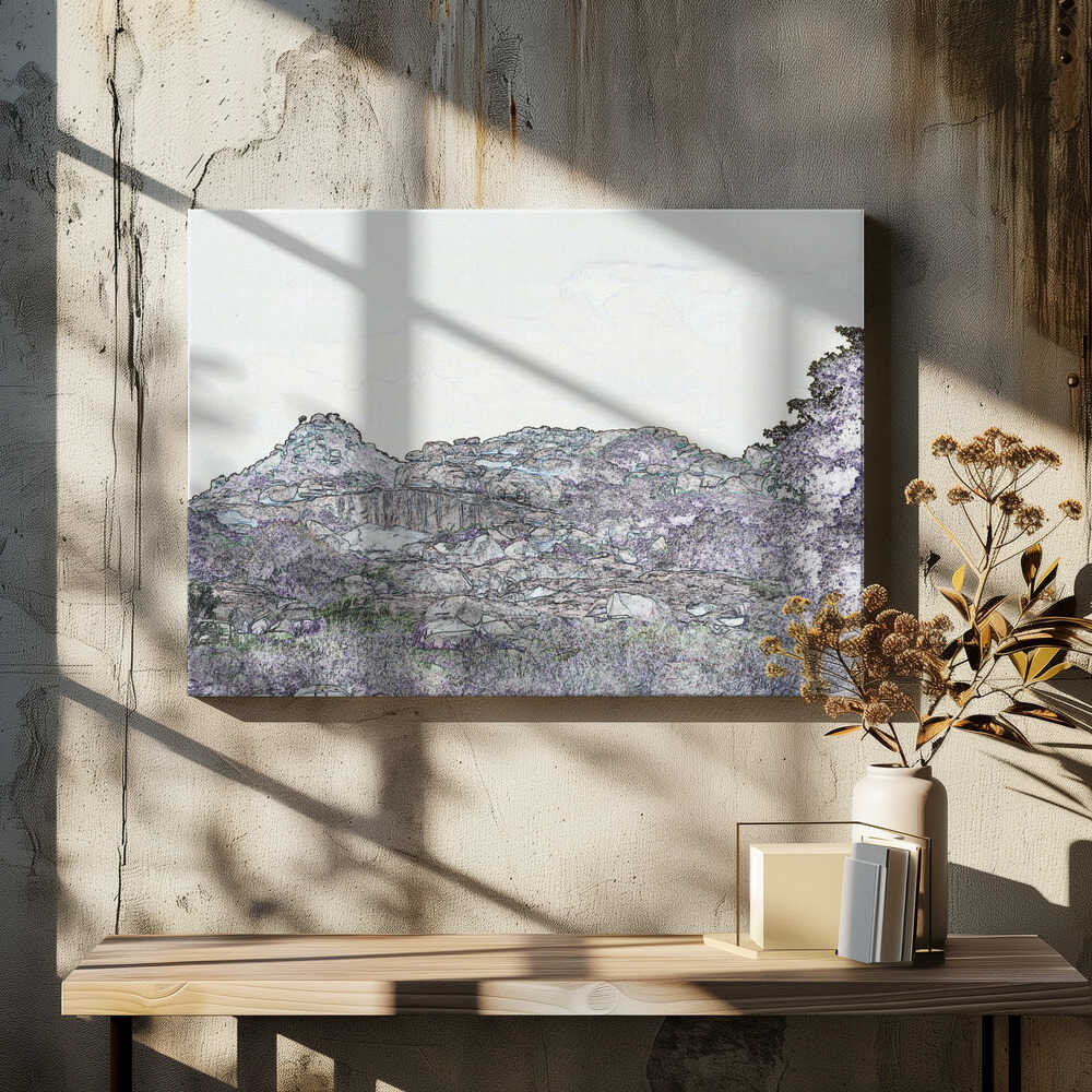 Craggy Horizon Vista