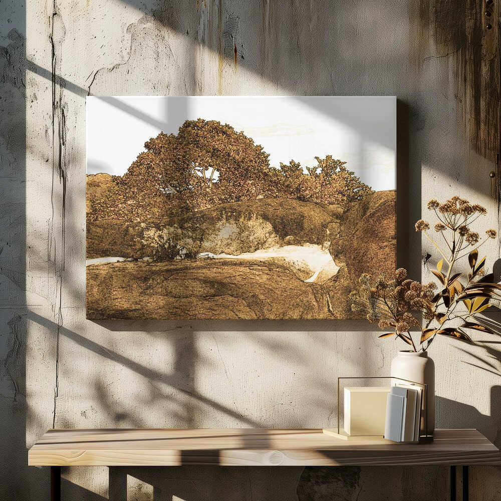 Rocky Grove Serenity