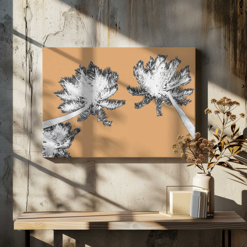 Palm Canopy Sketched