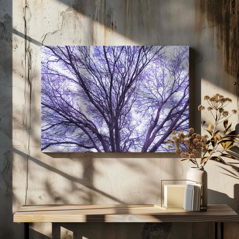 Branches of Twilight