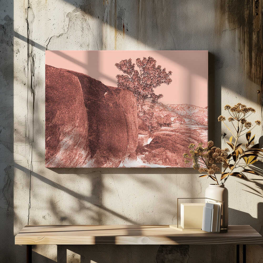 Sunlit Boulder Scene