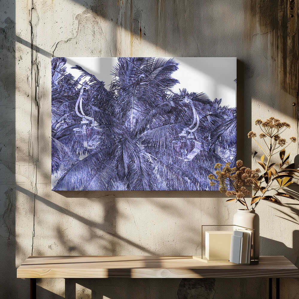 Electric Palms Fantasy