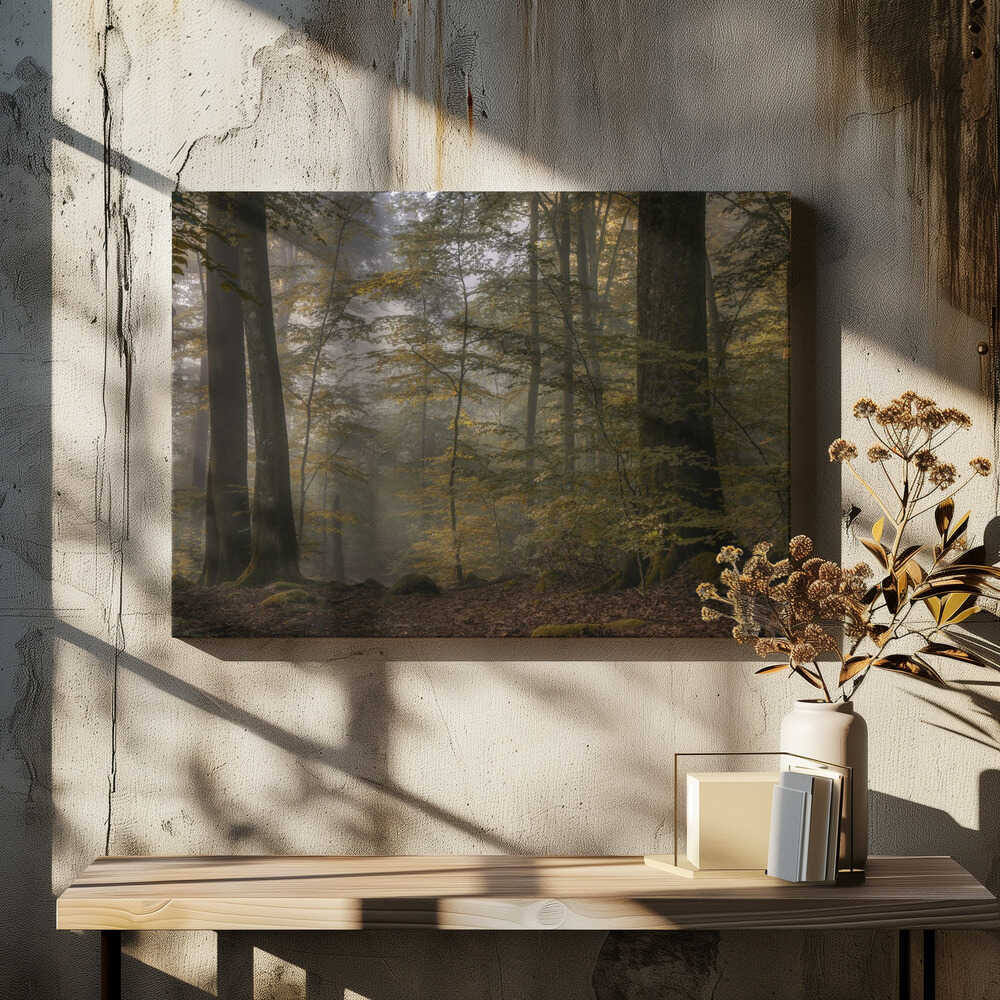 Seasonal transformation