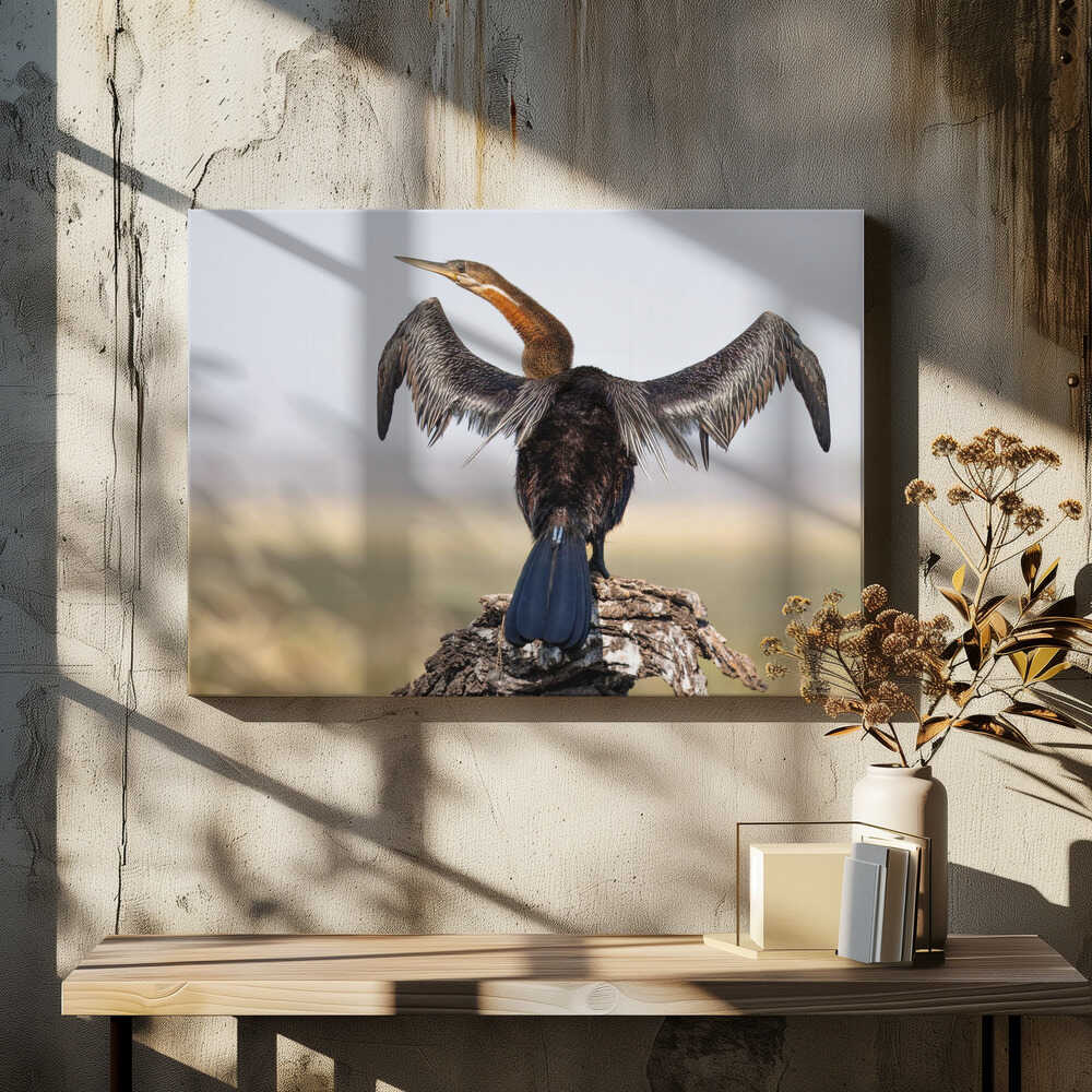 A Glimpse of Curiosity