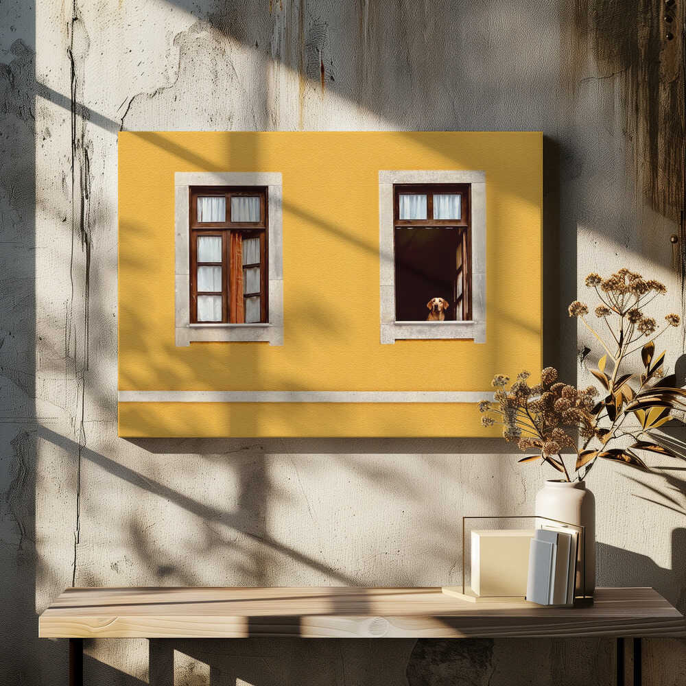 Facade - Porto, Portugal