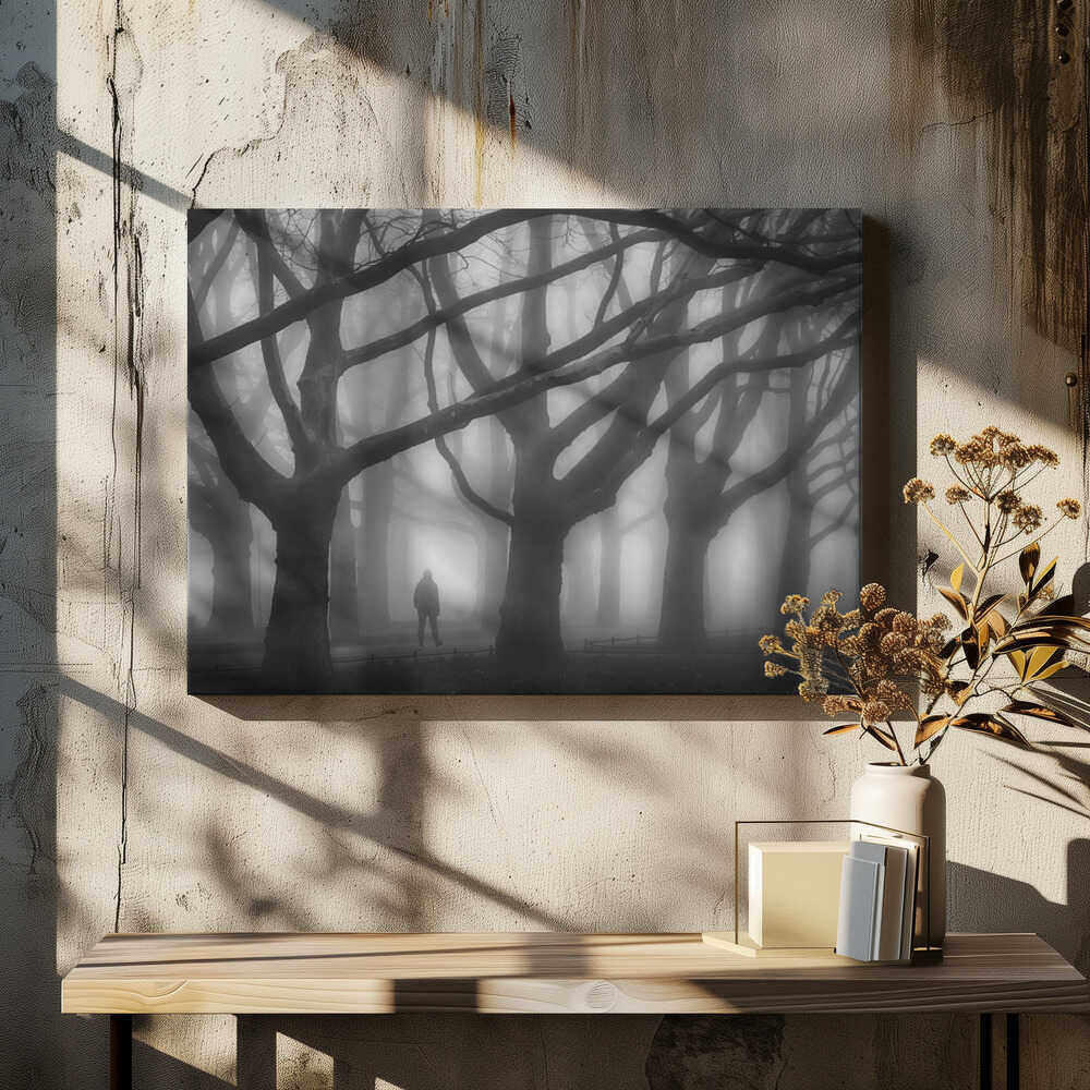 In the mysterious park.