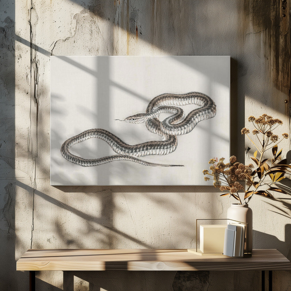 Snake By Kōno Bairei (1844 1895)