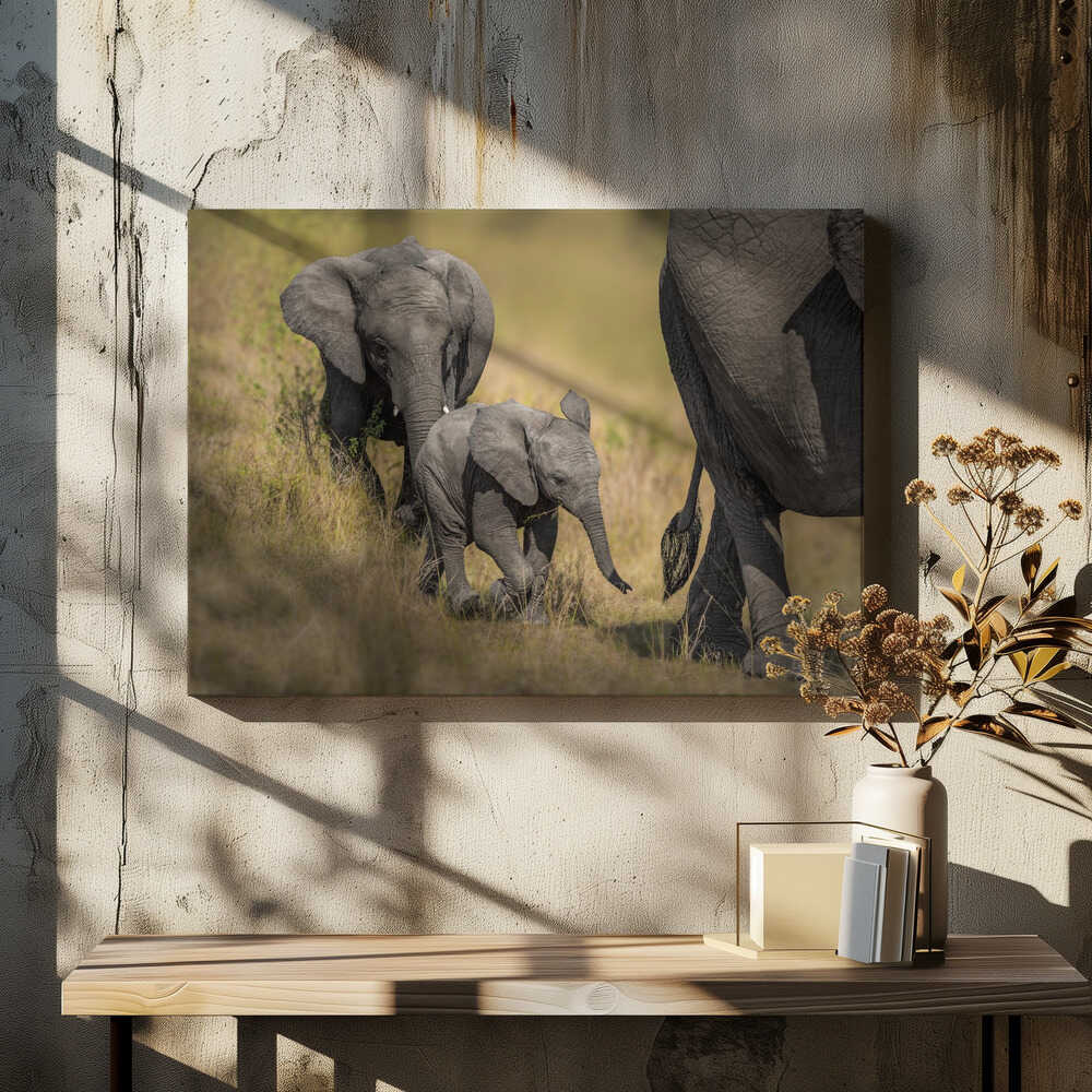 Mom wait , we are coming