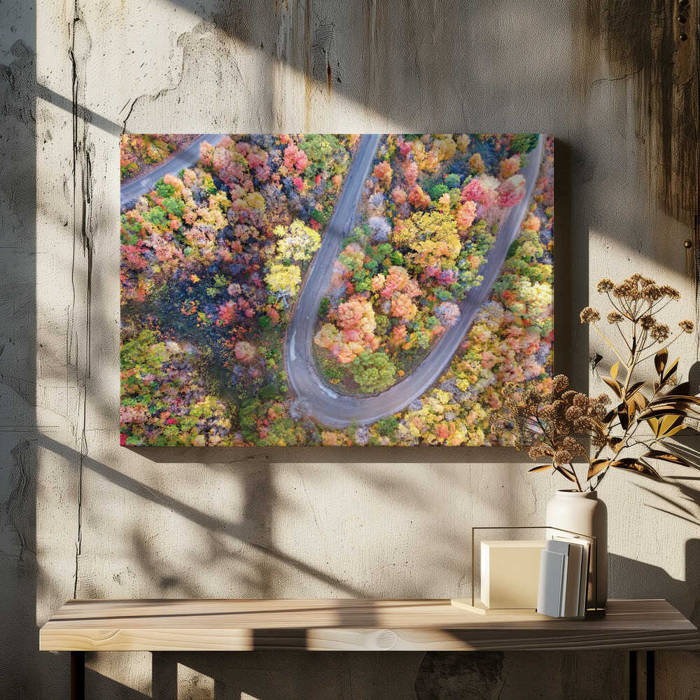 Winding Fall Road from Above