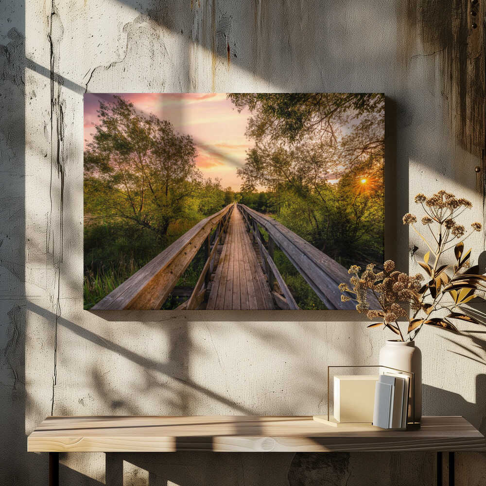 Bridge in jungle looking landscape