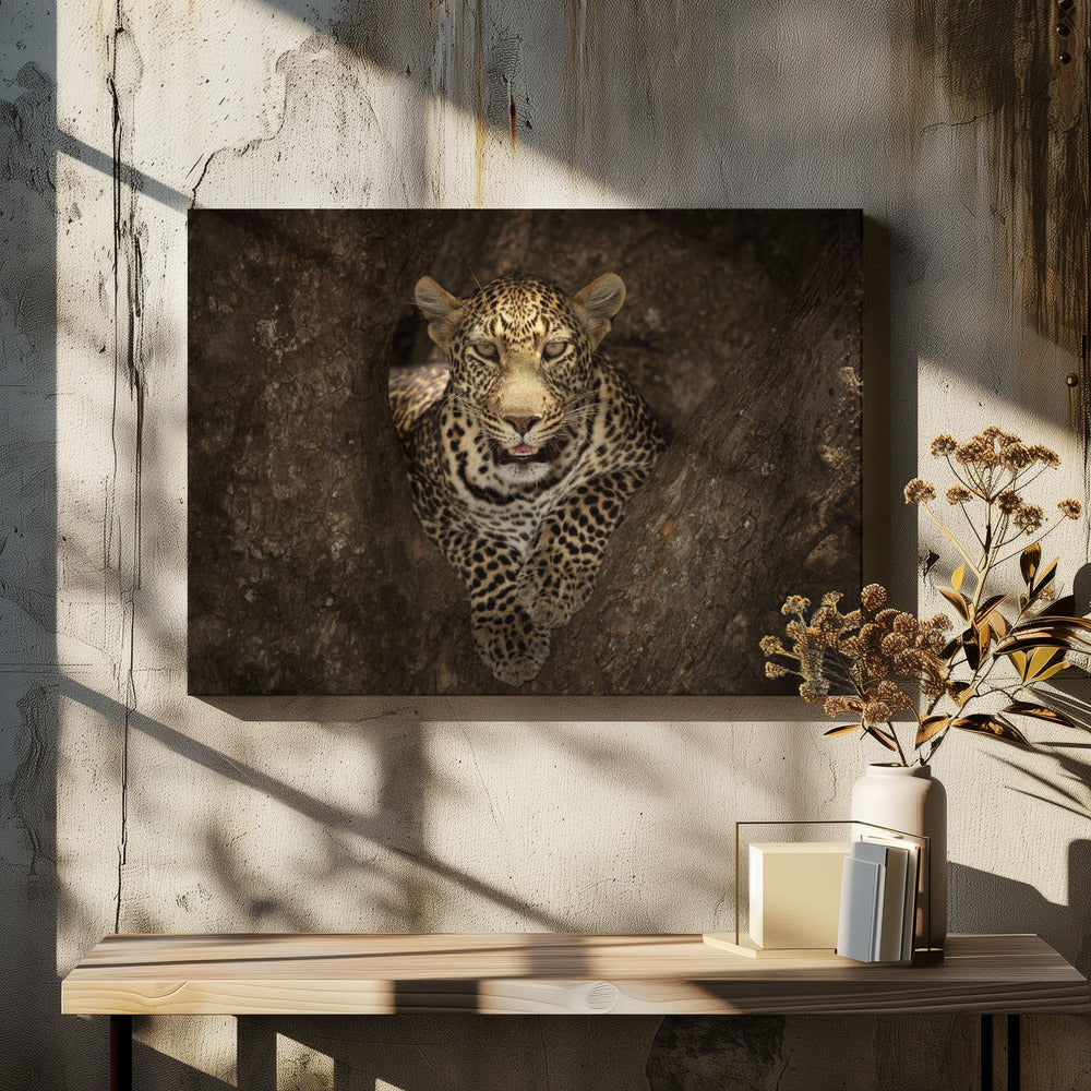 Leopard Resting on a Tree at Masai Mara