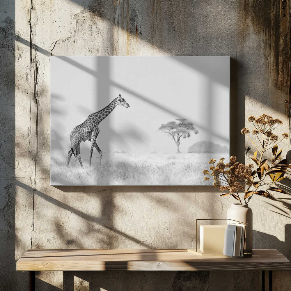 Serenity in High Key