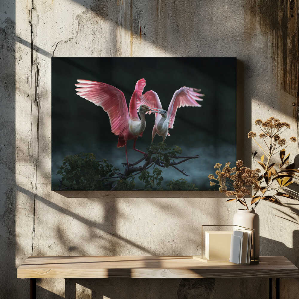 Roseate Spoonbills