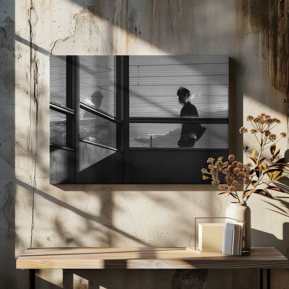 Meeting with the shadow