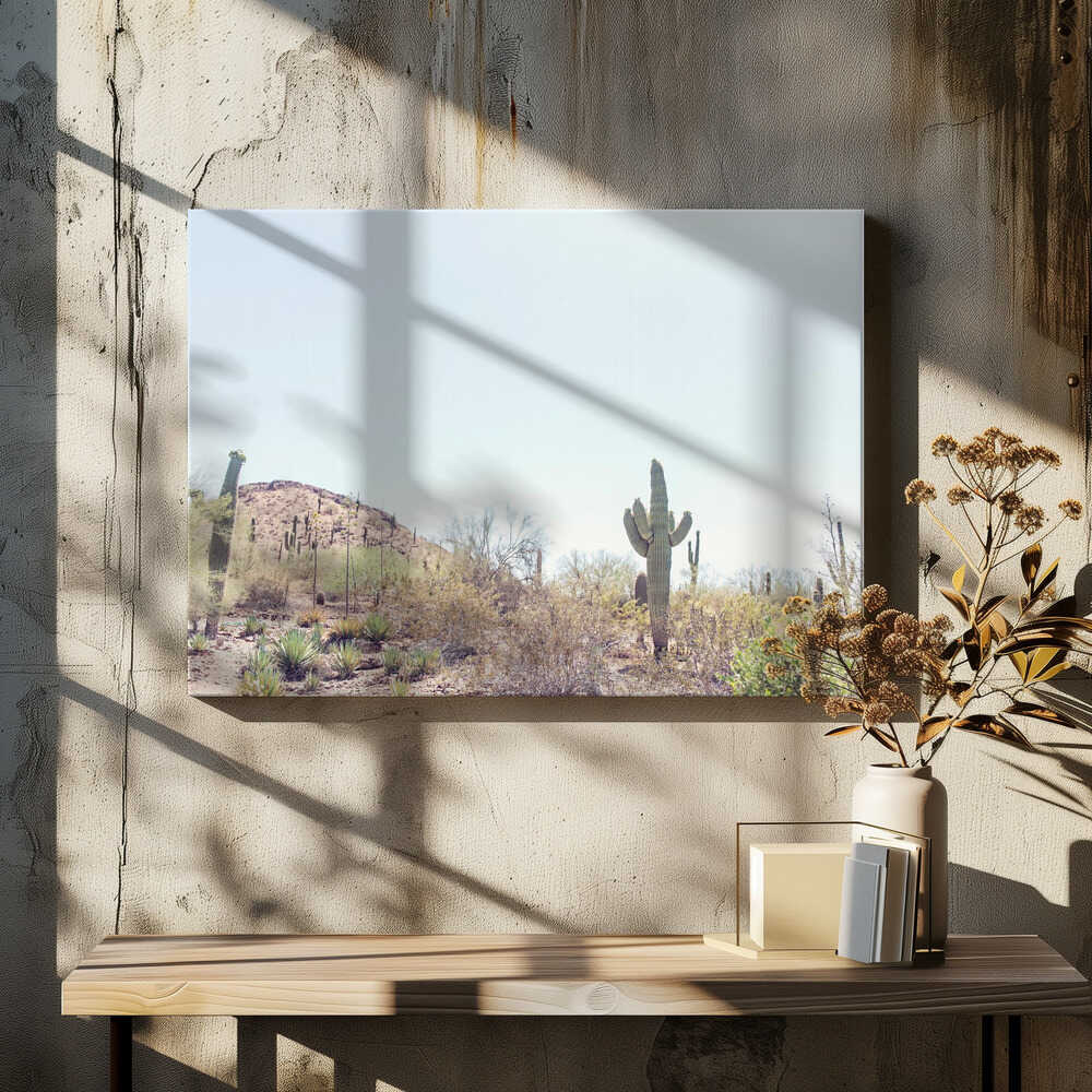 Phoenix Desert Landscape