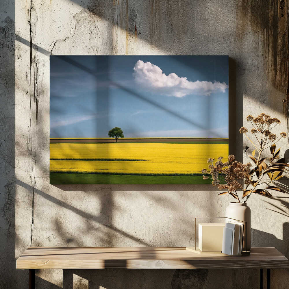 The Tree and the Cloud