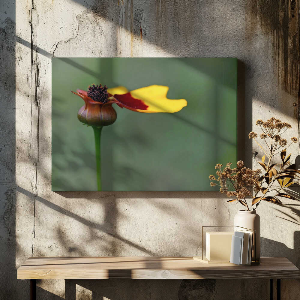 the last ones before winter ...