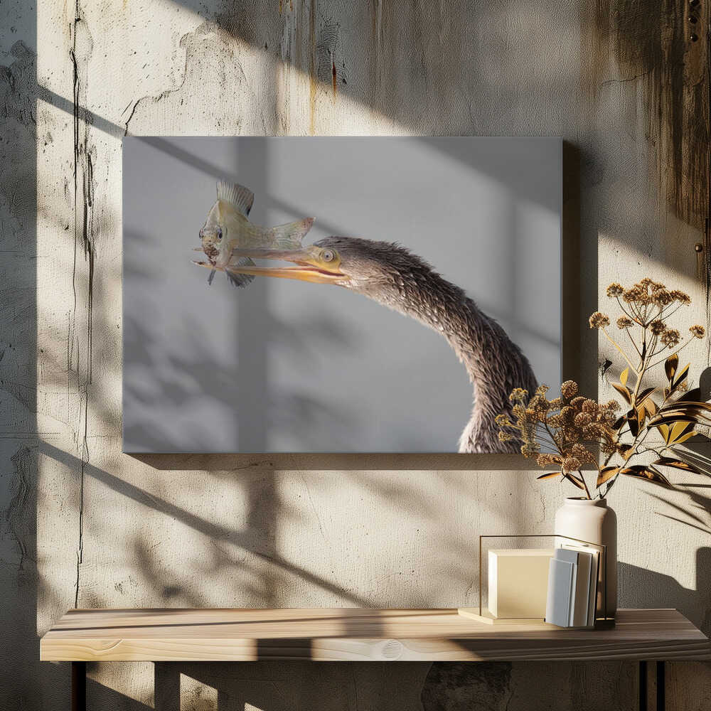 Oh Oh ... not looking good !!!