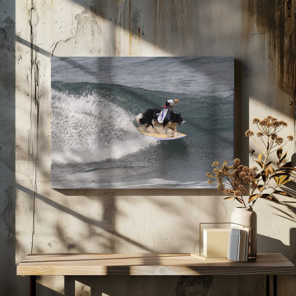 Riden them cowboy !!!!!