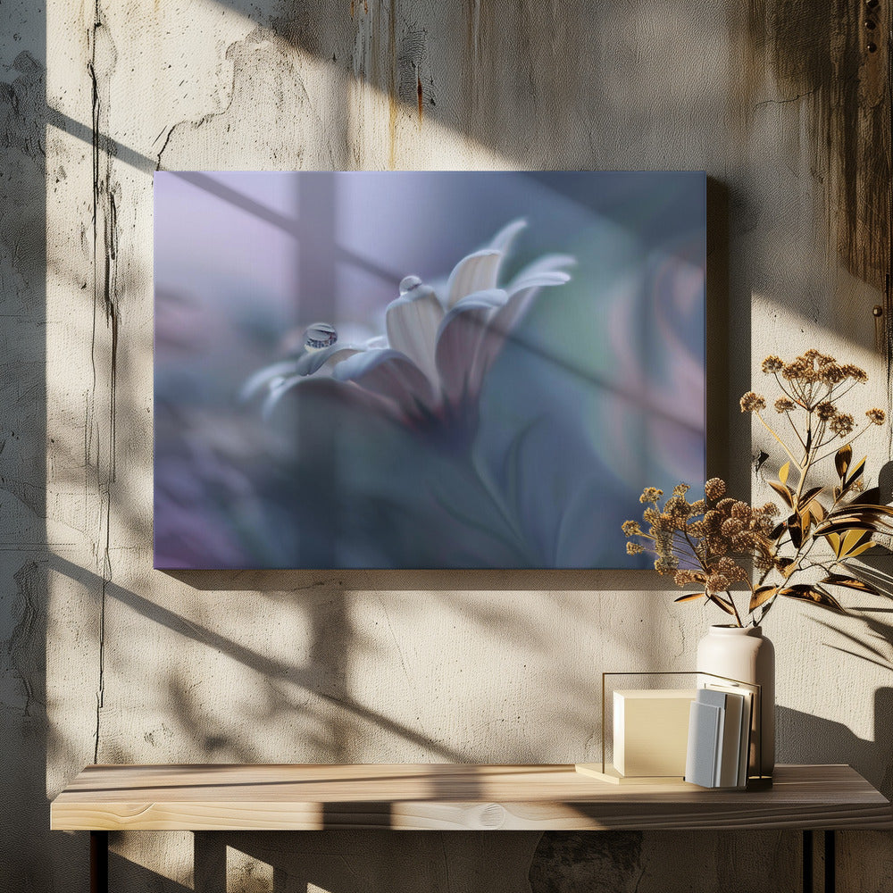 Behind Closed Eyes...