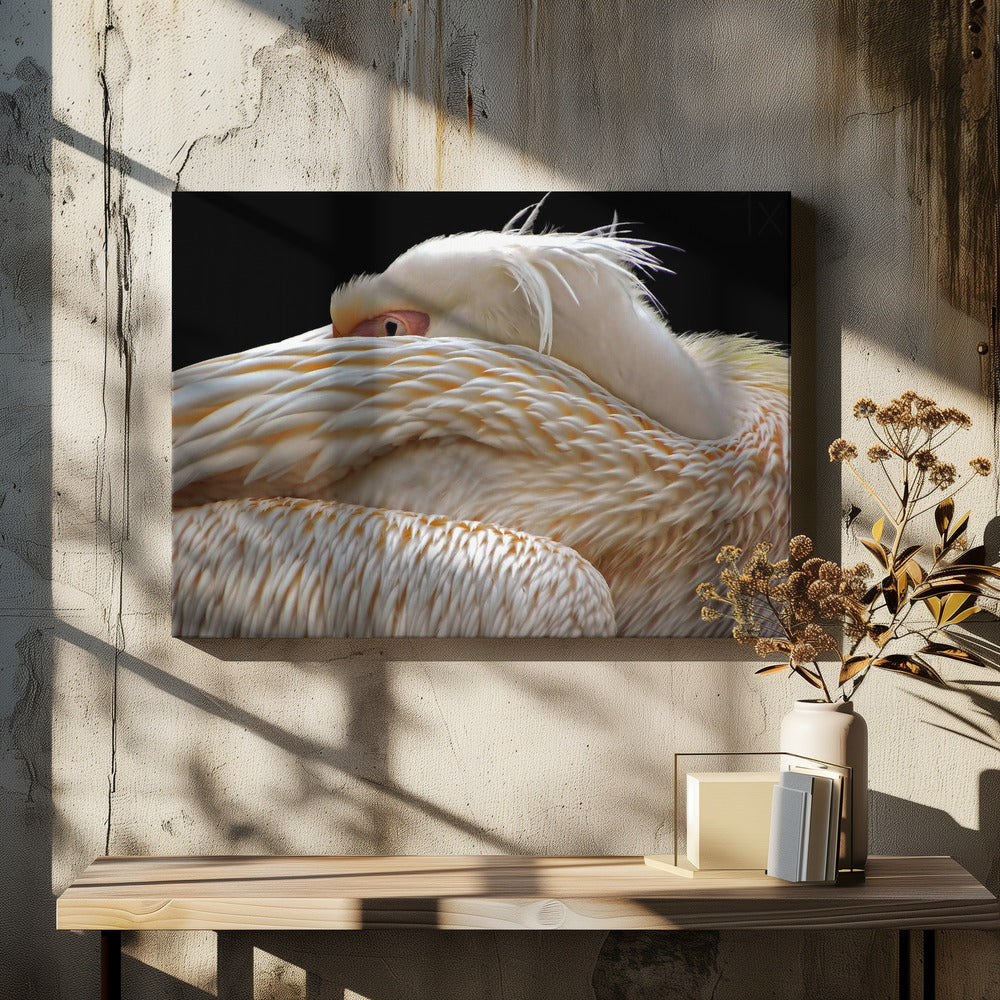 To be half asleep...