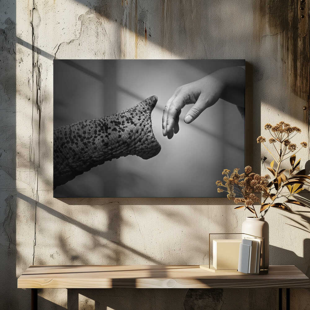 WALKING TOGETHER ....