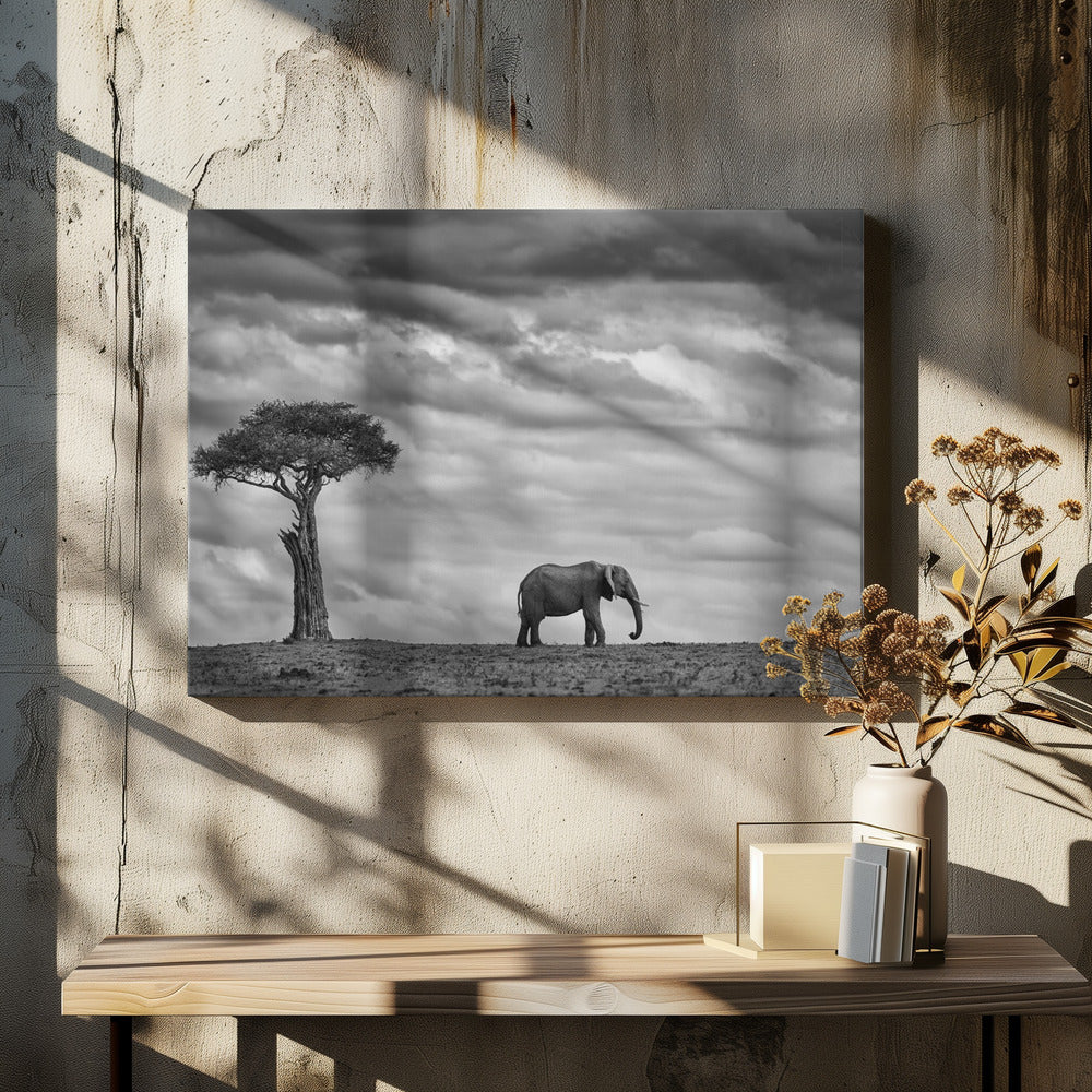 Elephant Landscape