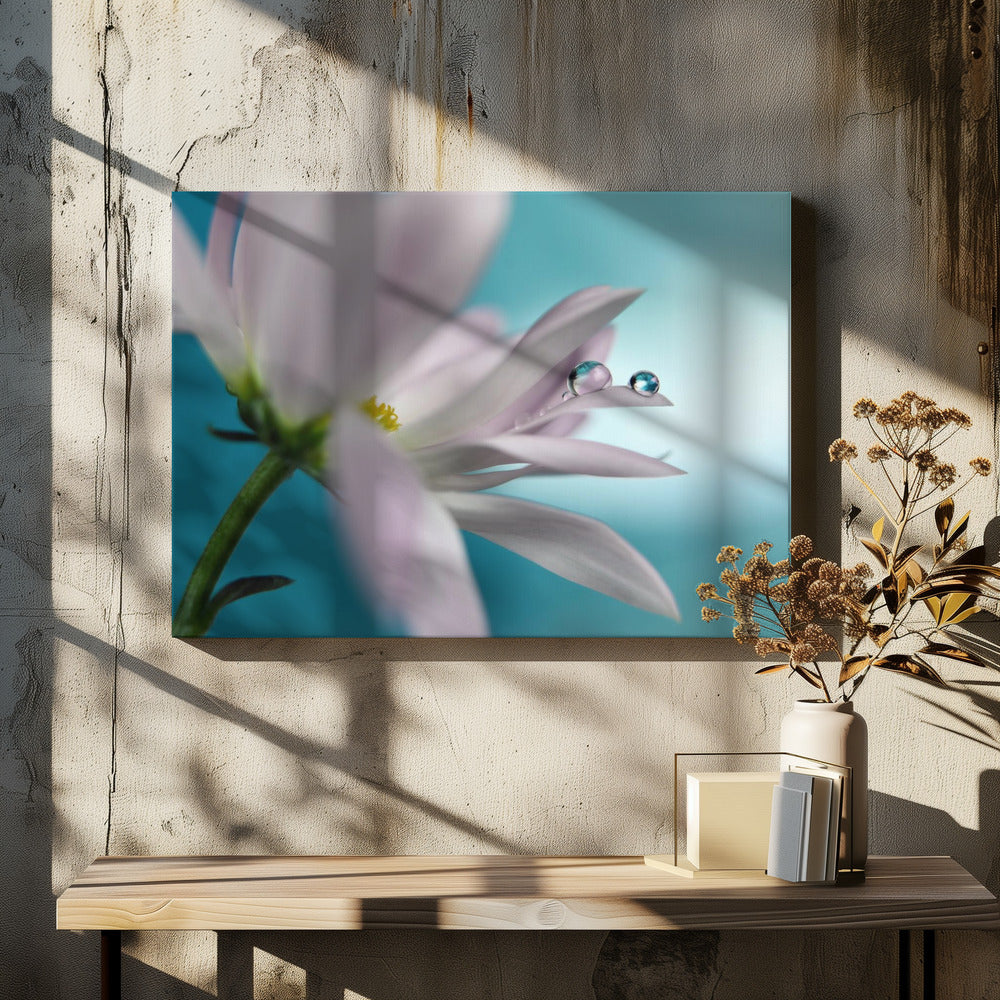 In turquoise Company