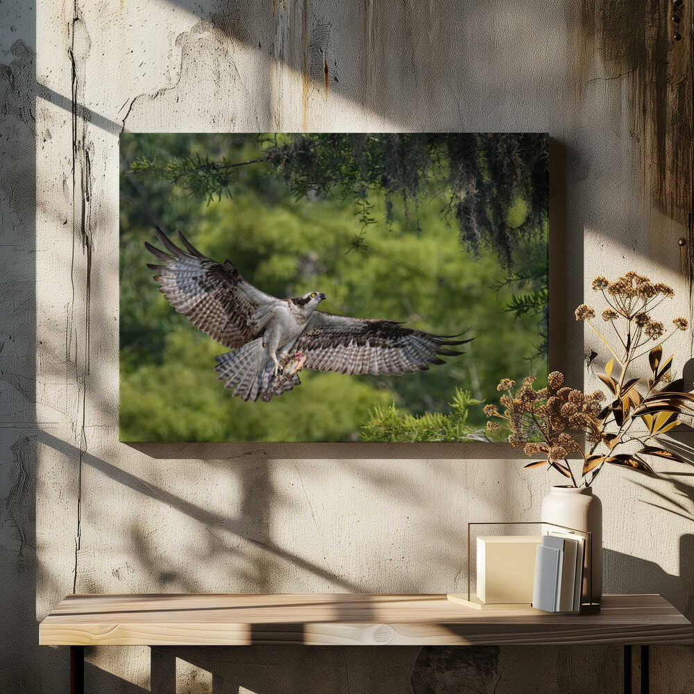 The girl has a fish !