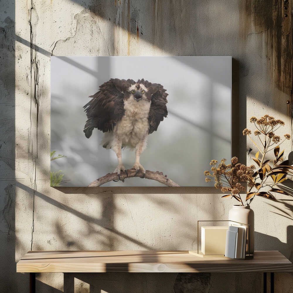 Nervous to fly today !!!!