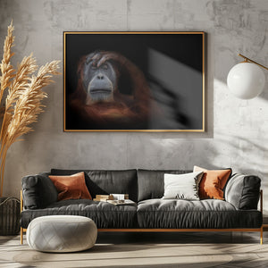 Art Prints of sleeping beauty