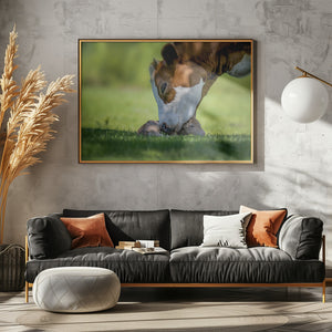 Art Prints of cow deer love