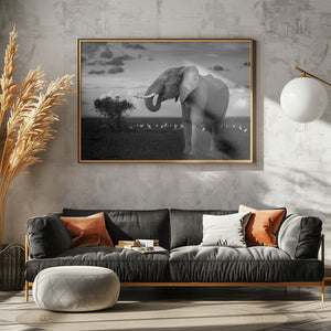 Art Prints of Beautiful Elephant