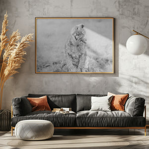 Art Prints of In the Rain