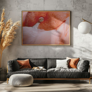 Art Prints of The language of eyes