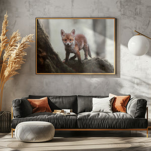 Canvas Art Print Little red fox