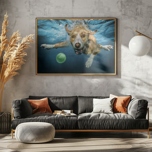 Art Prints of UnderDog