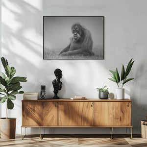 Art Prints of dreamy