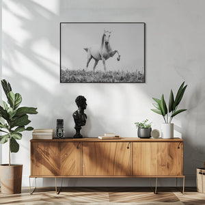 Art Prints of a short story about white beauty